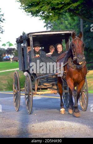 Amish Familie von 4 in einem Buggy gezogen von einem Pferd Stockfoto