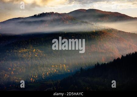 Sanfte Hügel im Nebel bei Sonnenaufgang. Schöne Berglandschaft im Herbst. Wolken am Morgenhimmel. Dramatische Naturkulisse Stockfoto