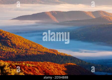 kalten Morgennebel mit goldenen heißen Sonnenaufgang in das Tal der Karpaten Gebirge. Wiesen und Bäume mit bunten Laub auf dem Hügel meado Stockfoto