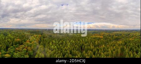 Wunderbarer Herbst, neblige Wolken nach dem Regen eine aufsteigende, fantastische Natur. Stockfoto