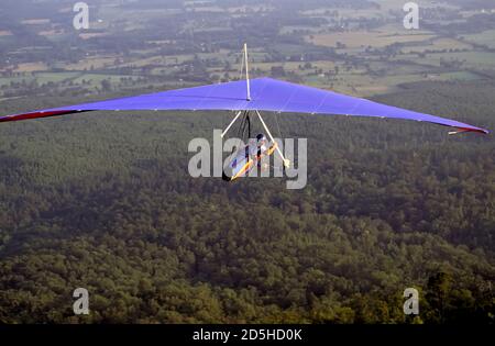 Drachenfliegen am Mt. Nebo State Park - Arkansas Stockfoto