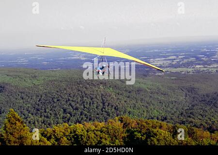 Drachenfliegen am Mt. Nebo State Park - Arkansas Stockfoto