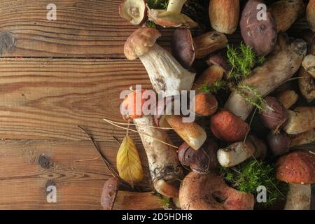 Frische Wildpilze unterschiedlich auf einem hölzernen Hintergrund, Draufsicht, Kopierraum. Herbstkonzept. Stockfoto