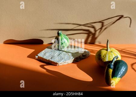 Herbst Balance Komposition mit dekorativen Kürbiskinson das Steinpodium und auf dem Tisch. Harte lange Schatten. Stockfoto