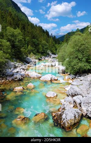 Blick auf den Fluss Soča und sein türkisfarbenes, kristallklares Wasser im Triglav Nationalpark, Slowenien, Europa Stockfoto