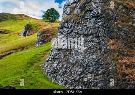 Große Stütze aus Riffkalk, nass nach Regen, in der tiefen Schlucht von Winnats Pass, Castleton, Derbyshire. Stockfoto