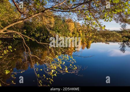 Herbstbäume, die durch den Fluss an der erleuchten Sonne unter den schönen Farben des Herbstes in schwedischer Natur Stockfoto