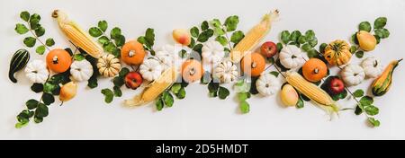 Herbstplan mit Kürbissen, saisonalen Früchten, Mais und Blättern Stockfoto