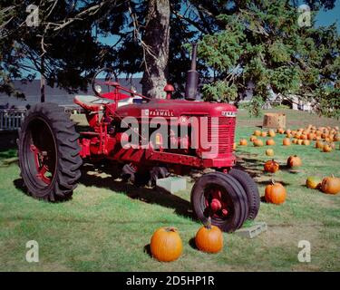 Ein Vintage rot Farmall Traktor sitzt zwischen verstreuten Kürbissen auf dem Bauernhof. Das Bild wurde auf einem analogen Film aufgenommen. Stockfoto