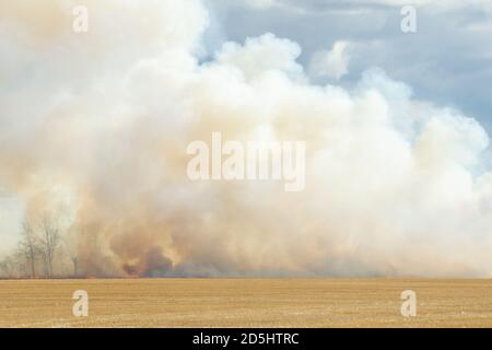 Weiße wabenende Rauchwolken von einem Strohfeld an Feuer in einer herbstlichen Landschaft Stockfoto