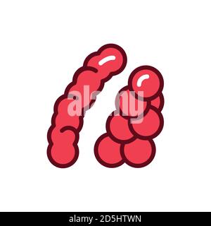 Symbol für die Streptokokken-Farblinie für Bakterien. Vektorgrafik Stock Vektor