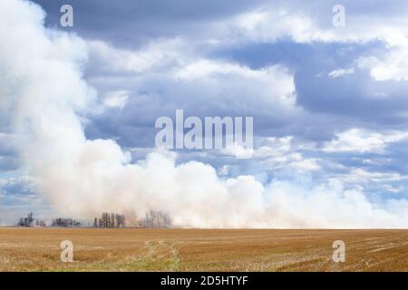 Weiße wabenende Rauchwolken von einem Strohfeld an Feuer in einer herbstlichen Landschaft Stockfoto