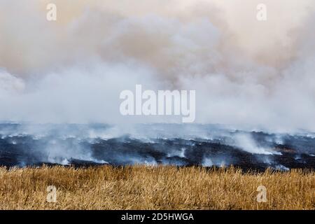 Weiße wabenende Rauchwolken von einem Strohfeld an Feuer in einer herbstlichen Landschaft Stockfoto