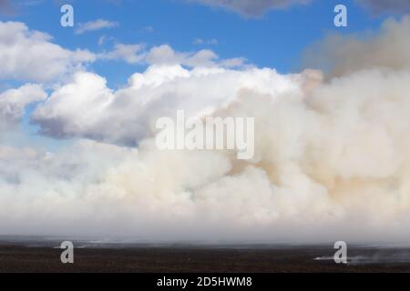 Weiße wabenende Rauchwolken von einem Strohfeld an Feuer in einer herbstlichen Landschaft Stockfoto