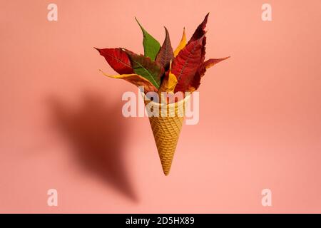 Herbstblätter im Eiskegel Stockfoto