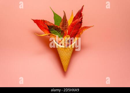 Herbstblätter im Eiskegel Stockfoto