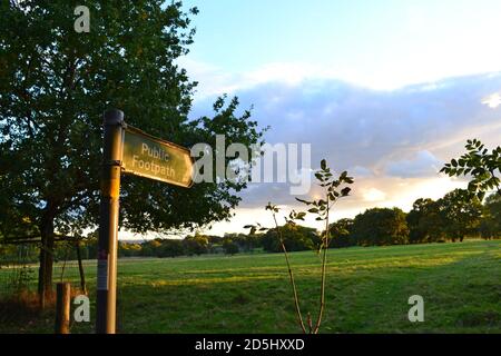 Pleasant Weald of Kent Views, Greensand Ridge in der Nähe von Sevenoaks, Oktober. Ein öffentlicher Fußweg am Abend zeigt auf Underriver Weiler über Grasweide Stockfoto