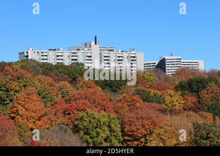 Große Apartmentgebäude, umgeben von Bäumen in Herbstfarben Stockfoto