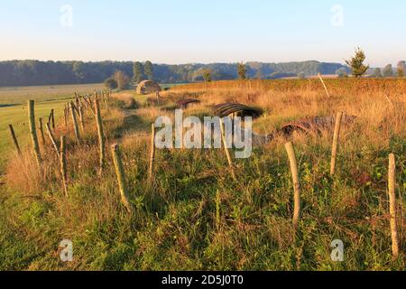 Pillbox und Schützengräben am 1. Weltkrieg 1914 Weihnachts-Waffenstillstandsdenkmal in Comines-Warneton, Belgien Stockfoto