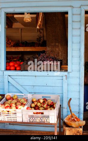 Chile, Südamerika Stockfoto