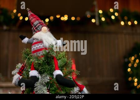 Ein Weihnachts-Gnome in einem roten Pullover und Hut gekleidet Mit einer großen Nase auf einem Weihnachtsbaum Mit Bokeh Weihnachtslichter im Hintergrund Stockfoto