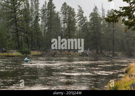 Zwei Fliegenfischer auf dem Madison River im Yellowstone National Park in Wyoming. Stockfoto