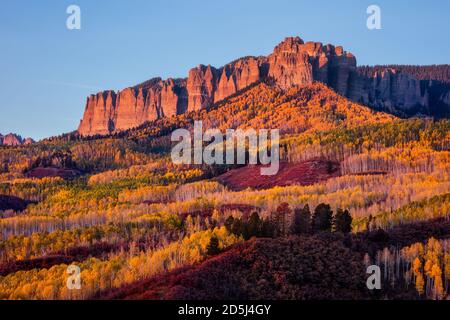 Aspen-Bäume mit Herbstfarben leuchten im Abendlicht in einer malerischen Herbstlandschaft unter dem Cimarron Ridge im Owl Creek Pass, Colorado Stockfoto