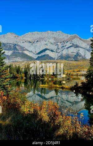 Eine wunderschöne Herbstszene der bunten Blätter entlang der Ufer auf dem Sinscinget Ridge mit der Miette Bergkette in Der Hintergrund in Jasper National Stockfoto