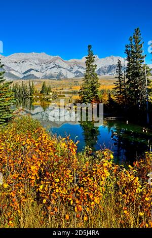 Eine wunderschöne Herbstszene mit bunten Blättern, die sich in der spiegeln Stilles Wasser des Talbot-Sees mit der Miette Range in Jasper National Park Stockfoto