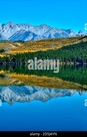 Eine wunderschöne Herbstszene der bunten Blätter entlang der Ufer auf dem Singrin Ridge, der sich in den Gewässern von Talbot spiegelt see mit der Miette Range in Ja Stockfoto