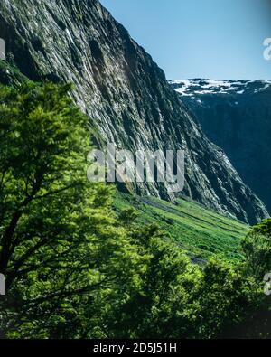 Ein Milford Sound Abenteuer - Fabian Andriessen Stockfoto