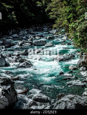 Ein Milford Sound Abenteuer - Fabian Andriessen Stockfoto