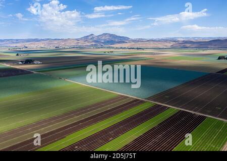 Luftaufnahmen mit Blick auf die reiche landwirtschaftliche Landschaft des Salinas Valley in Monterey County, Kalifornien Stockfoto