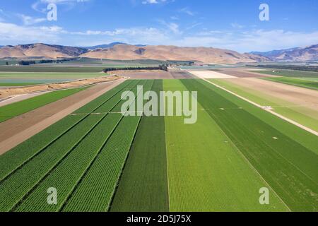 Luftaufnahmen mit Blick auf die reiche landwirtschaftliche Landschaft des Salinas Valley in Monterey County, Kalifornien Stockfoto