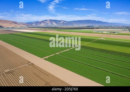 Luftaufnahmen mit Blick auf die reiche landwirtschaftliche Landschaft des Salinas Valley in Monterey County, Kalifornien Stockfoto