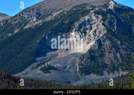 Eine Lawine, die durch eine Bergseite führt und eine große Depression im Berg im Jasper National Park Alberta Canada aushömmert. Stockfoto