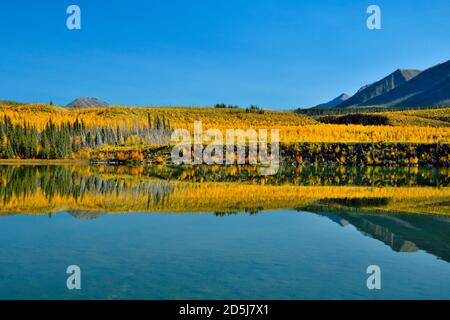 Eine wunderschöne Herbstspiegelung auf dem Talbot Lake von den Herbstfarben auf dem Sinstrigge im Jasper National Park, Alberta Kanada Stockfoto