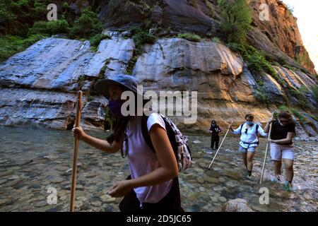 Springdale, Utah, USA. August 2020. Wanderer waten durch Gewässer in den Narrows. The Narrows ist der schmalste Abschnitt des Zion Canyon und eine der besten Wanderungen im Park und auf dem Colorado Plateau. Der Zion National Park ist ein Naturschutzgebiet im Südwesten Utahs, das sich durch die steilen roten Klippen des Zion Canyon auszeichnet. Der Zion Canyon Scenic Drive führt durch seinen Hauptabschnitt zu Waldwegen entlang des Virgin River. Der Fluss fließt zu den Emerald Pools, die Wasserfälle und einen hängenden Garten haben. Auch entlang des Flusses, teilweise durch tiefe Abgründe, ist Zion Narrows Watwanderung. (Bild: © Ruari Stockfoto