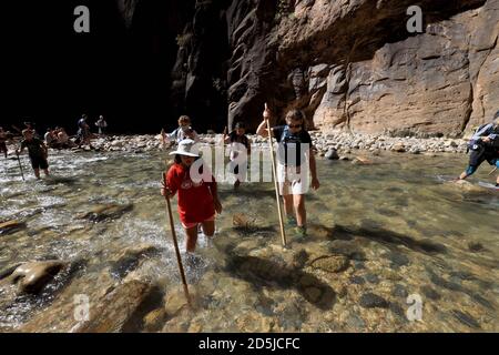 Springdale, Utah, USA. August 2020. Wanderer waten durch Gewässer in den Narrows. The Narrows ist der schmalste Abschnitt des Zion Canyon und eine der besten Wanderungen im Park und auf dem Colorado Plateau. Der Zion National Park ist ein Naturschutzgebiet im Südwesten Utahs, das sich durch die steilen roten Klippen des Zion Canyon auszeichnet. Der Zion Canyon Scenic Drive führt durch seinen Hauptabschnitt zu Waldwegen entlang des Virgin River. Der Fluss fließt zu den Emerald Pools, die Wasserfälle und einen hängenden Garten haben. Auch entlang des Flusses, teilweise durch tiefe Abgründe, ist Zion Narrows Watwanderung. (Bild: © Ruari Stockfoto