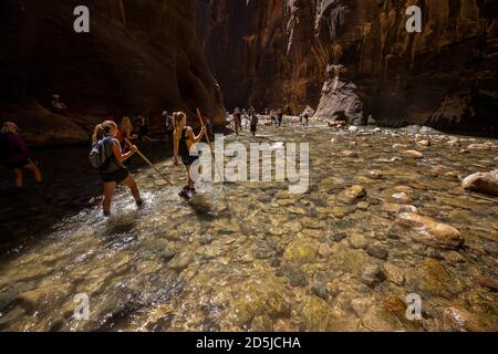 Springdale, Utah, USA. August 2020. Wanderer waten durch Gewässer in den Narrows. The Narrows ist der schmalste Abschnitt des Zion Canyon und eine der besten Wanderungen im Park und auf dem Colorado Plateau. Der Zion National Park ist ein Naturschutzgebiet im Südwesten Utahs, das sich durch die steilen roten Klippen des Zion Canyon auszeichnet. Der Zion Canyon Scenic Drive führt durch seinen Hauptabschnitt zu Waldwegen entlang des Virgin River. Der Fluss fließt zu den Emerald Pools, die Wasserfälle und einen hängenden Garten haben. Auch entlang des Flusses, teilweise durch tiefe Abgründe, ist Zion Narrows Watwanderung. (Bild: © Ruari Stockfoto