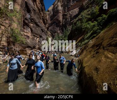 Springdale, Utah, USA. August 2020. Scharen von Wanderern waten durch Gewässer in den Narrows. The Narrows ist der schmalste Abschnitt des Zion Canyon und eine der besten Wanderungen im Park und auf dem Colorado Plateau. Der Zion National Park ist ein Naturschutzgebiet im Südwesten Utahs, das sich durch die steilen roten Klippen des Zion Canyon auszeichnet. Der Zion Canyon Scenic Drive führt durch seinen Hauptabschnitt zu Waldwegen entlang des Virgin River. Der Fluss fließt zu den Emerald Pools, die Wasserfälle und einen hängenden Garten haben. Auch entlang des Flusses, teilweise durch tiefe Abgründe, ist Zion Narrows Watwanderung. (Kredit Imag Stockfoto