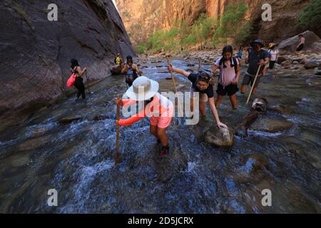 Springdale, Utah, USA. August 2020. Wanderer waten durch Gewässer in den Narrows. The Narrows ist der schmalste Abschnitt des Zion Canyon und eine der besten Wanderungen im Park und auf dem Colorado Plateau. Der Zion National Park ist ein Naturschutzgebiet im Südwesten Utahs, das sich durch die steilen roten Klippen des Zion Canyon auszeichnet. Der Zion Canyon Scenic Drive führt durch seinen Hauptabschnitt zu Waldwegen entlang des Virgin River. Der Fluss fließt zu den Emerald Pools, die Wasserfälle und einen hängenden Garten haben. Auch entlang des Flusses, teilweise durch tiefe Abgründe, ist Zion Narrows Watwanderung. (Bild: © Ruari Stockfoto