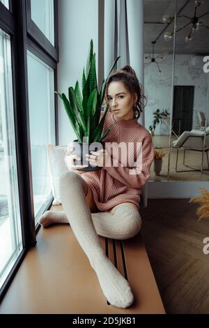 Schöne Brünette sitzt auf der Fensterbank. In den Händen einer Frau Blume. Stockfoto