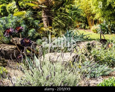 Die angelegten Gärten im Cotswold Wildlife Park in der Nähe von Burford, Oxfordshire. Stockfoto