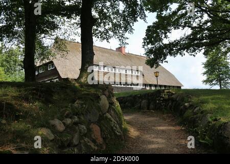 Traditionelles Haus mit Reetdach im Naturschutzgebiet Lüneburger Heide, berühmtes Reiseziel für Naturliebhaber. In Der Nähe Von Wilsede, Deutschland, Europa. Stockfoto