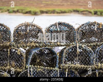 Hummerkrebse auf der Hafenseite in Wells-Next-the-Sea, Norfolk, Großbritannien. Stockfoto