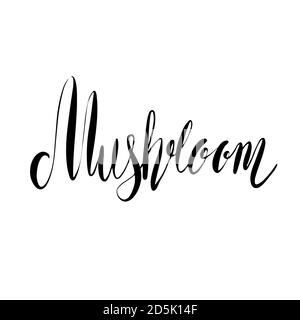 Pilzschrift. Pinsel Kalligraphie Zitat. Vektor Scribble Element für Menüs, Rezepte, Etiketten und Ihr Design. Stock Vektor