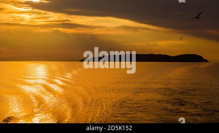 Goldenes Abendlicht über dem Trasimeno-See und der Isola Maggiore (Großinsel) in Umbrien, mit Möwen, die am Himmel fliegen Stockfoto