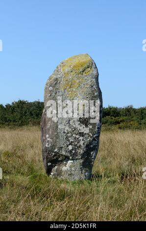 Rhos y Clegyrn Standing Stone Menhir neolithische Bronzezeit St Nicholas Pembrokeshire Wales Cymru Großbritannien Stockfoto