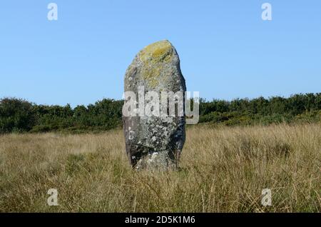 Rhos y Clegyrn Standing Stone Menhir neolithische Bronzezeit St Nicholas Pembrokeshire Wales Cymru Großbritannien Stockfoto